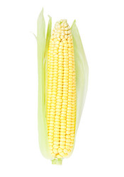 Similar image 5442948