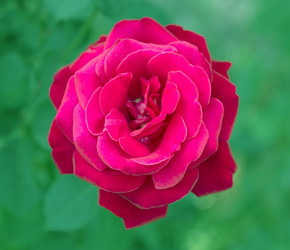 Similar image 5442950