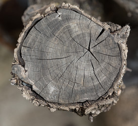 Similar image 5442957