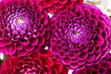 Similar image 5442958