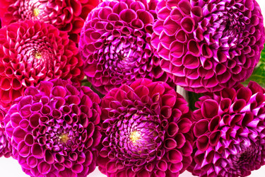 Similar image 5442963