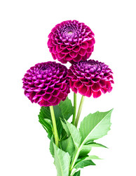 Similar image 5442965