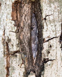 Similar image 5442972