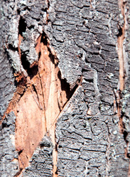 Similar image 5442976