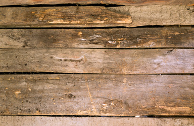 Similar image 5442982