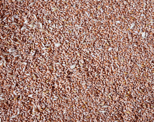 Similar image 5442983