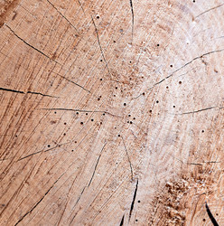 Similar image 5442984