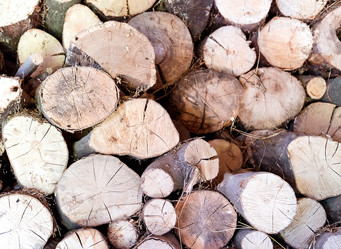 Similar image 5442985