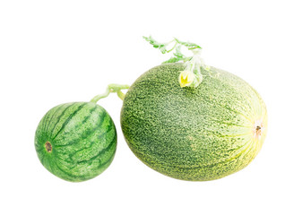 Similar image 5442991