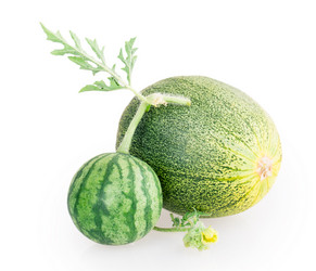 Similar image 5442992