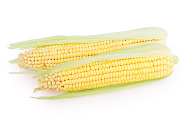 Similar image 5442996