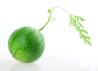 Similar image 5442999