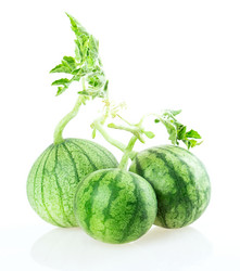 Similar image 5443000