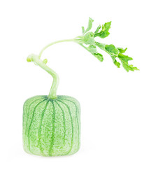 Similar image 5443001