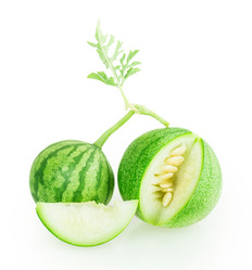 Similar image 5443002