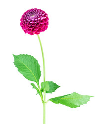 Similar image 5443009