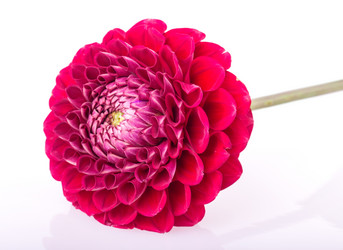 Similar image 5443010