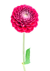 Similar image 5443012