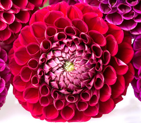 Similar image 5443014