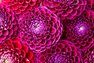 Similar image 5443015