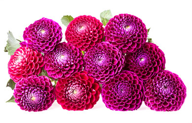 Similar image 5443016