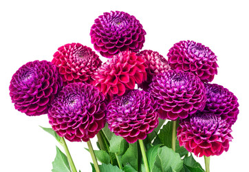 Similar image 5443017