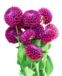 Similar image 5443018