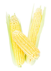 Similar image 5443019