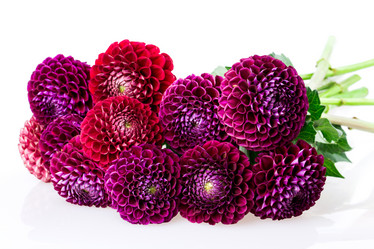 Similar image 5443024