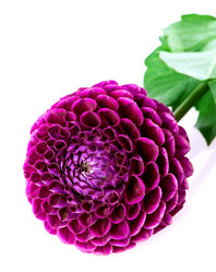 Similar image 5443025