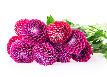 Similar image 5443026