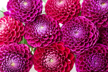 Similar image 5443027