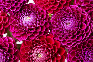 Similar image 5443028