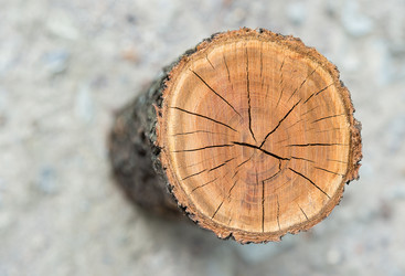 Similar image 5443029