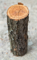 Similar image 5443037