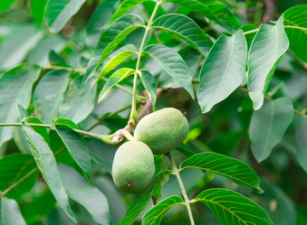 Similar image 5443038