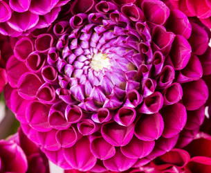 Similar image 5443039