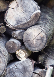 Similar image 5443045