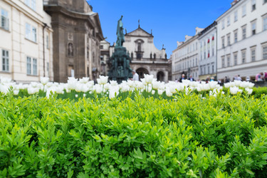 Similar image 5443049