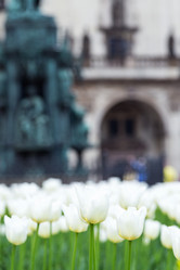 Similar image 5443053