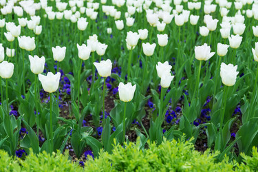 Similar image 5443057