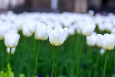 Similar image 5443058