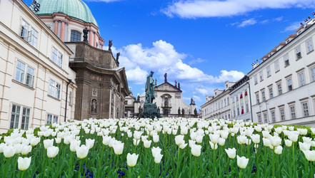 Similar image 5443066