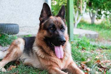 Similar image 5443067