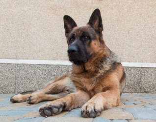 Similar image 5443068