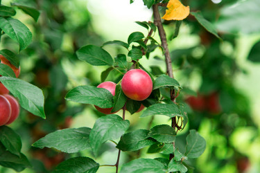 Similar image 5443069