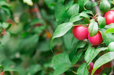 Similar image 5443071