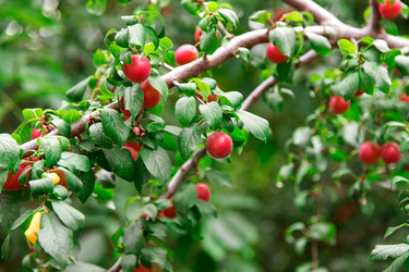 Similar image 5443075