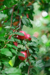 Similar image 5443077