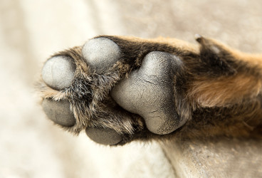 Similar image 5443079